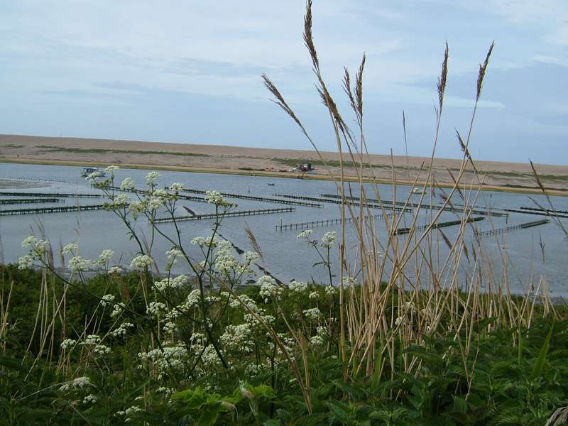 Hotels, Cottages, B&Bs & Glamping in West Dorset Cool Places to Stay